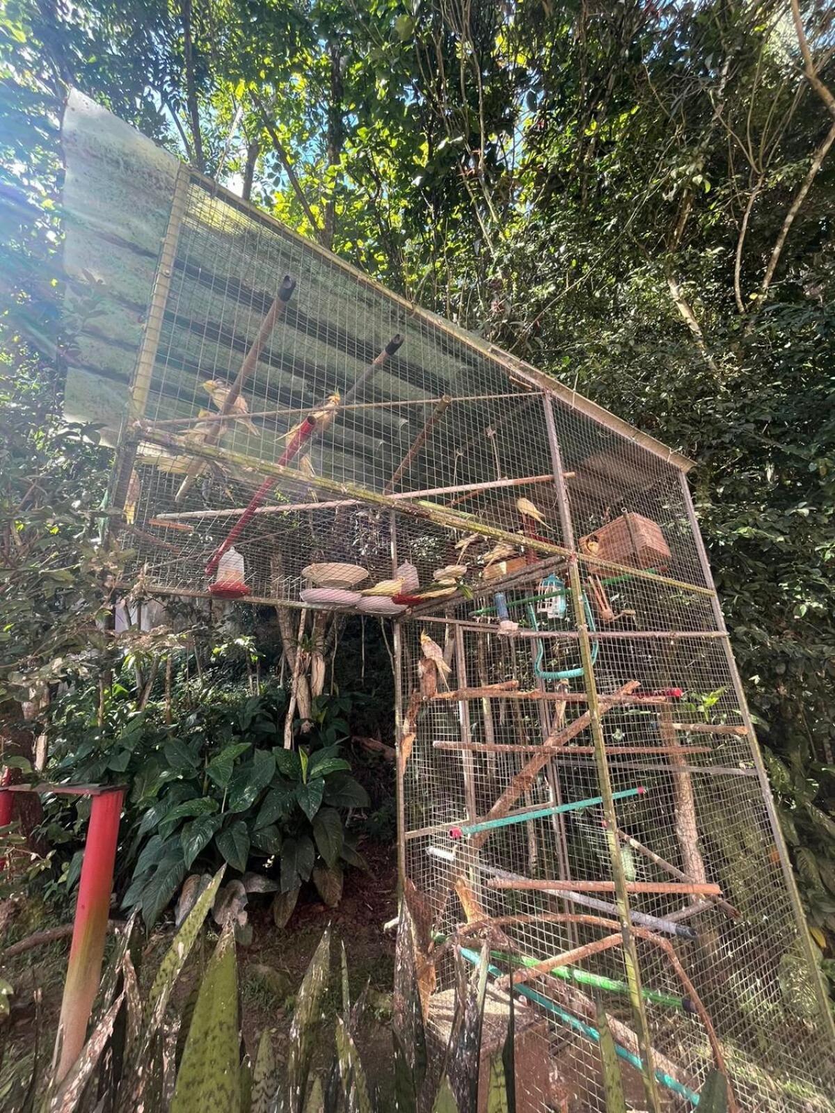 Ape Do Salomao Lejlighed Balneário Camboriú Eksteriør billede
